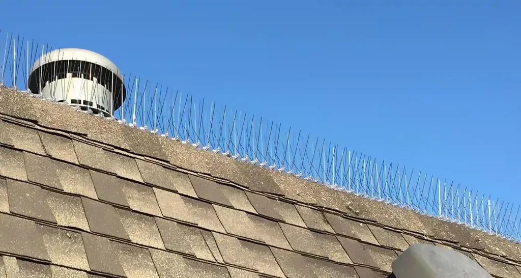 Anti-Rust Bird Spikes for Pigeons in Bangalore-Nexo Netting