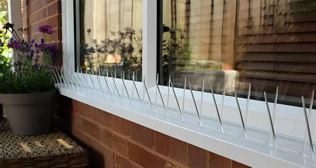 Premium Quality Anti-Rust Bird Spikes for Pigeons in Bangalore-Nexo Netting