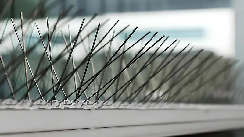 Projects-Anti Bird Spikes by Nexo Netting in Bangalore