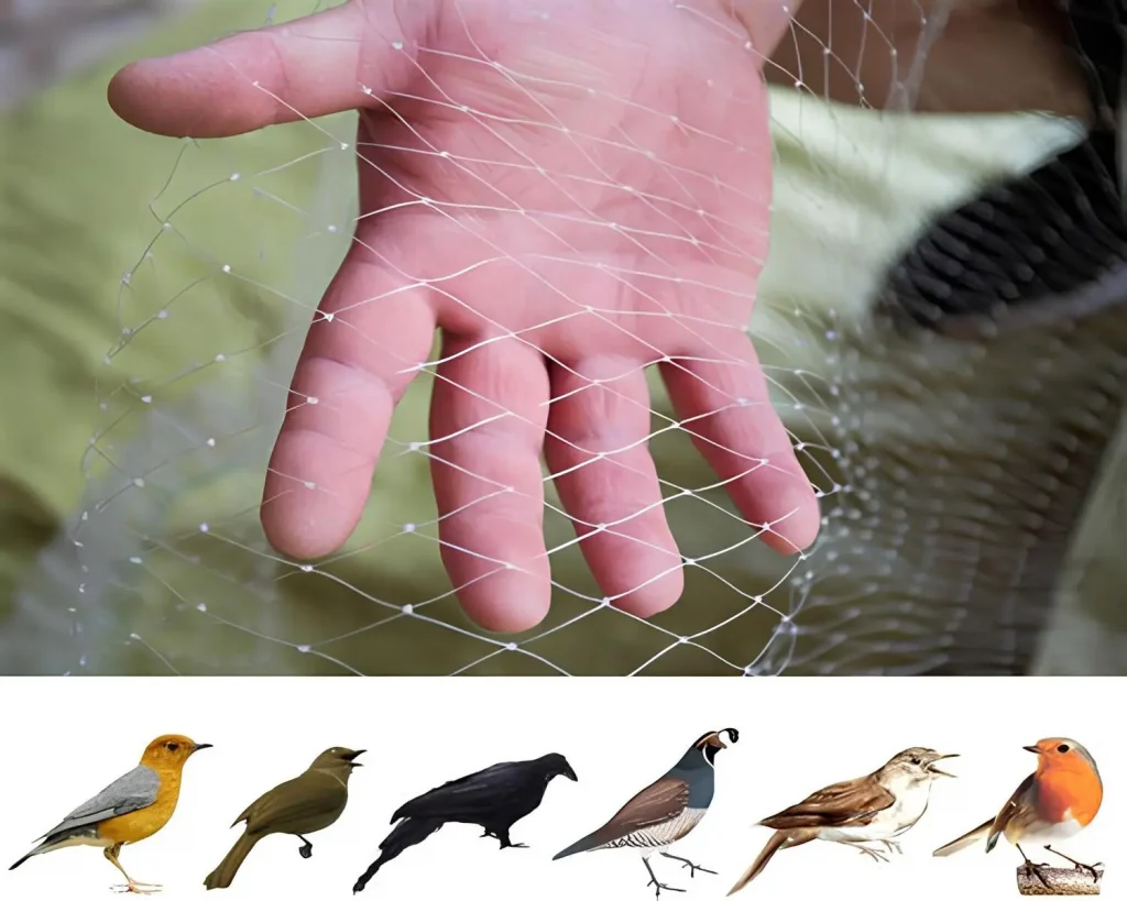 Quality Bird Net for Balcony in Bangalore-Nexo Netting