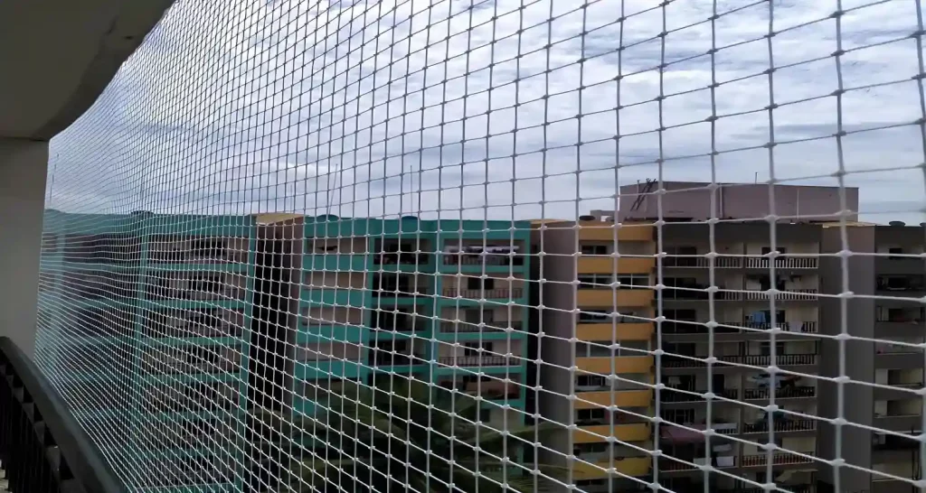 Top Quality Pigeon Safety Nets in Bangalore-Nexo Netting