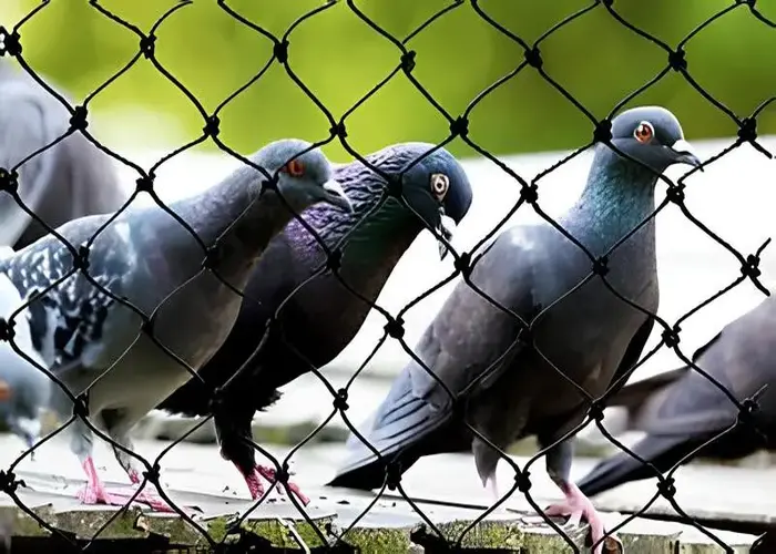 Premium Quality Pigeon Safety Nets in Whitefield, JP Nagar-Nexo Netting